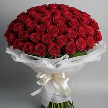 Букет 101 Красная роза Блэк Мэджик в Первомайском Оренбургский район
