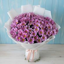 Букет цветов из:  Хризантемы в Первомайском Оренбургский район