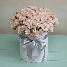 Цветочная композиция из Розы в шляпной коробке #REPLACE_PRED# Первомайском Оренбургский район