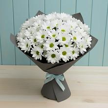 Букет цветов из:  Хризантемы #REPLACE_PRED# Первомайском Оренбургский район