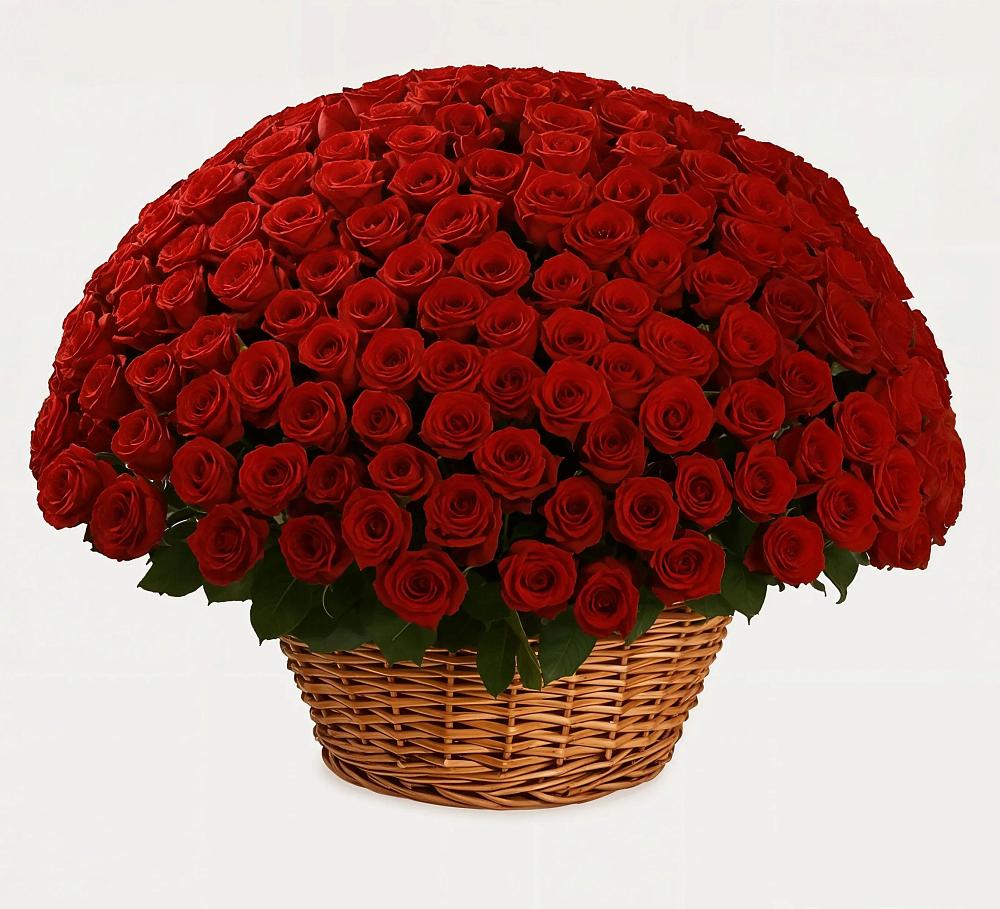 Премиум букет из: Розы в Первомайском Оренбургский район