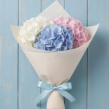Букет цветов из:  Гортензия в Первомайском Оренбургский район
