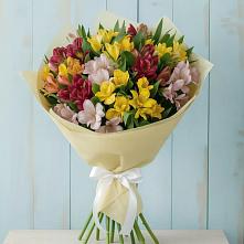 Букет цветов из:  Альстромерии в Первомайском Оренбургский район
