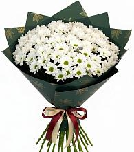 Букет цветов из:  Хризантемы в Первомайском Оренбургский район