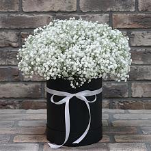 Цветочная композиция из Гипсофила в шляпной коробке в Первомайском Оренбургский район