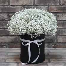 Цветочная композиция из Гипсофила в шляпной коробке в Первомайском Оренбургский район